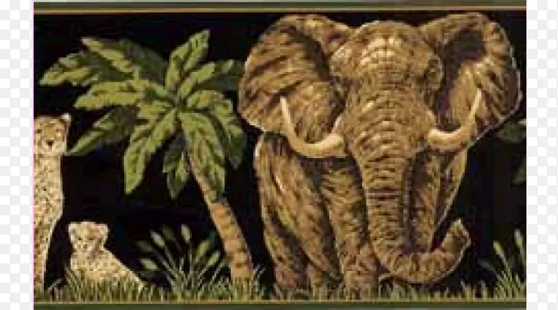 印度象非洲象虎狮脊椎动物-老虎