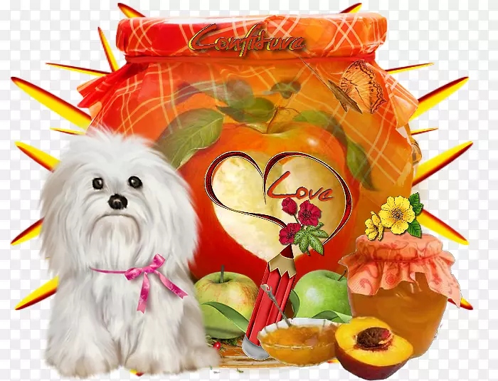 犬种小狗伴犬蔬菜-小狗