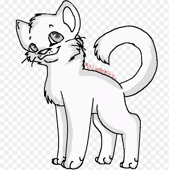 胡须狗繁殖猫线艺术猫