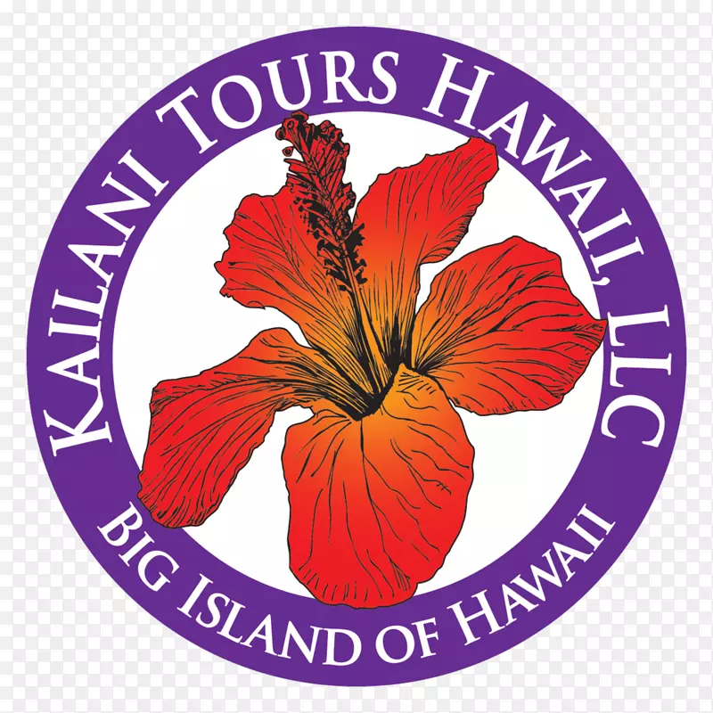 Mauna Kea Mauna Loa kīLauea Kailani游览夏威夷火山-牙科医疗设备