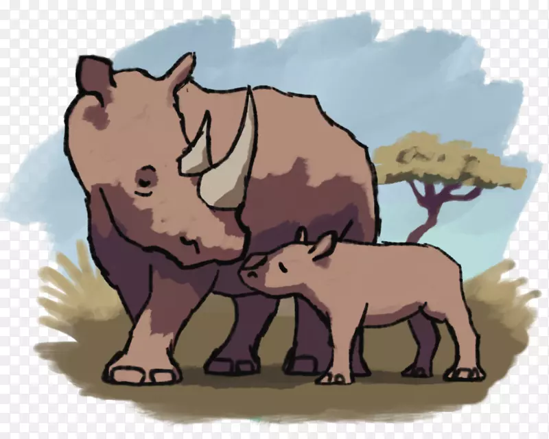 印度象非洲象猪野生动物-猪