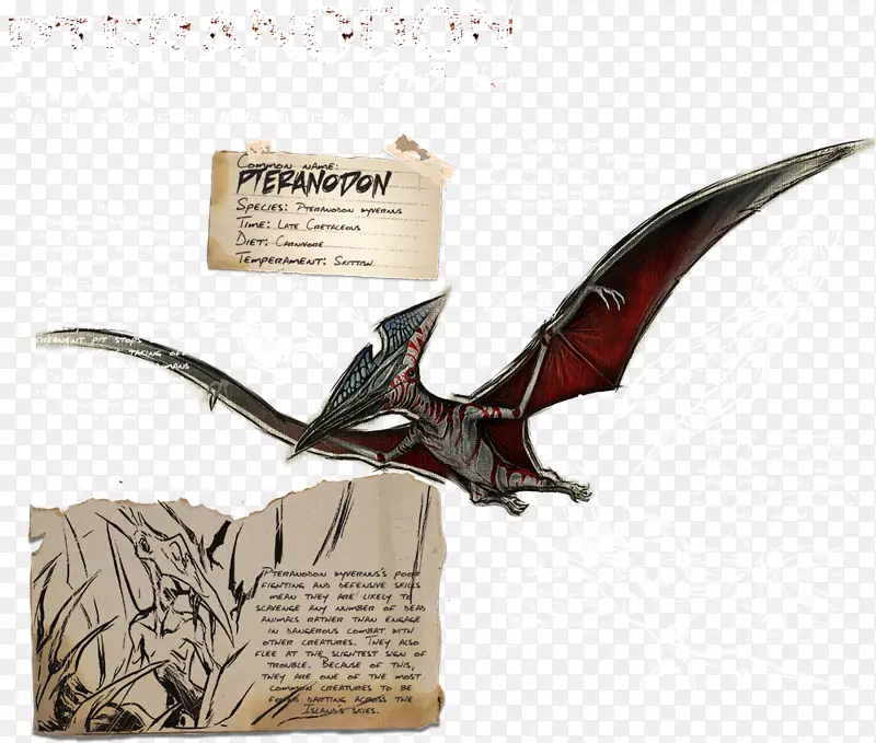 翼龙方舟：白垩纪晚期翼龙的生存进化
