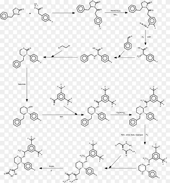 有机化学CYP3A4-合成