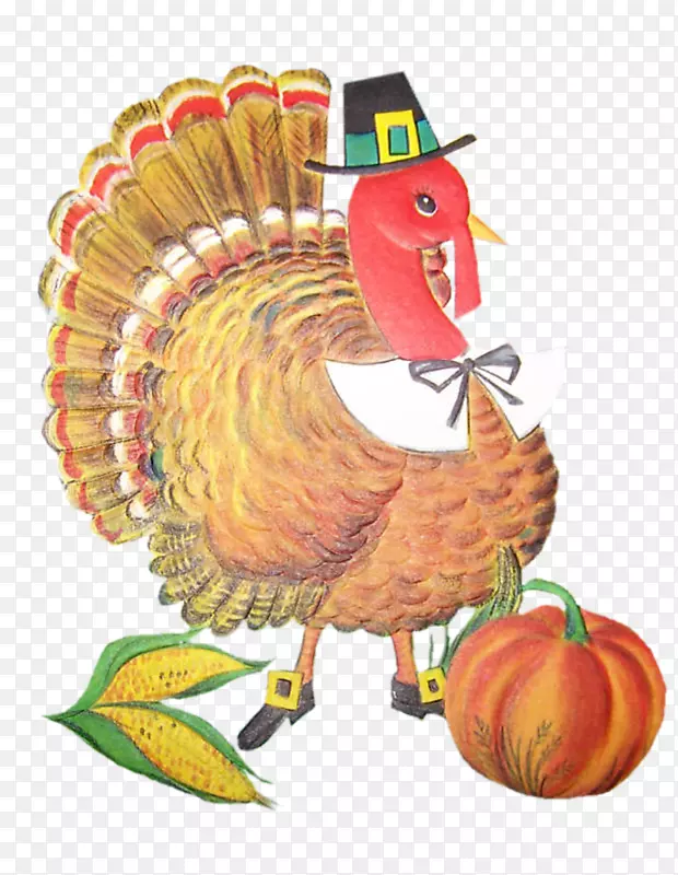 感恩节水果鸡作为食物-感恩节