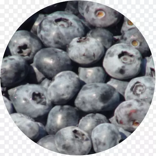 蓝莓越橘超级食物修剪-蓝莓