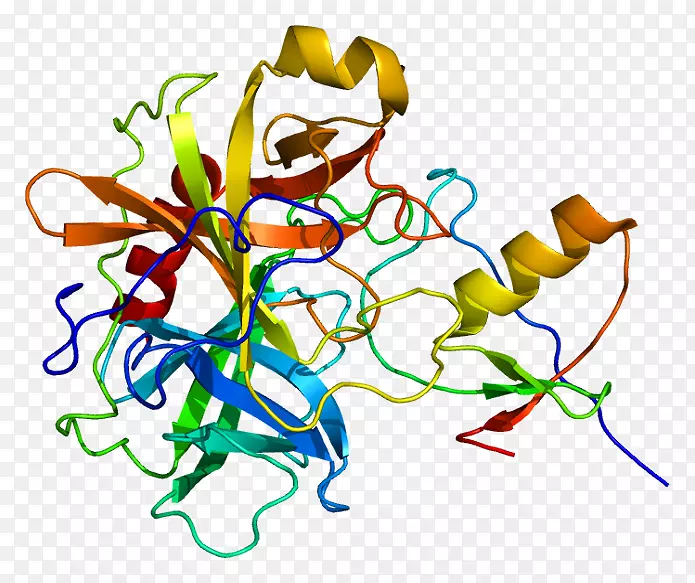 蛋白质结构预测的同源性模型-糖尿病