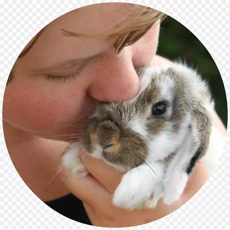 兔耳鼻兔