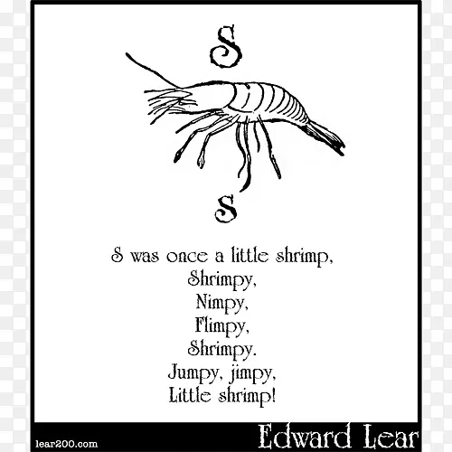 ElREI李尔书法文献动物-白对虾