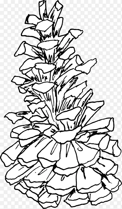 圣诞树线条艺术植物茎叶-圣诞树