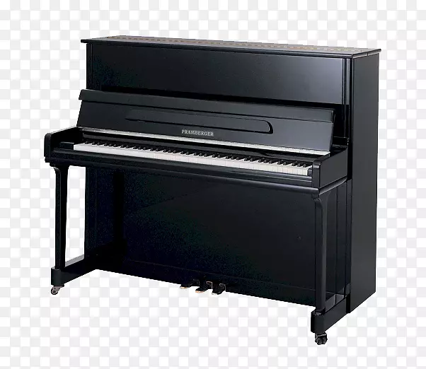 雅马哈大钢琴公司立式钢琴萨米克-钢琴