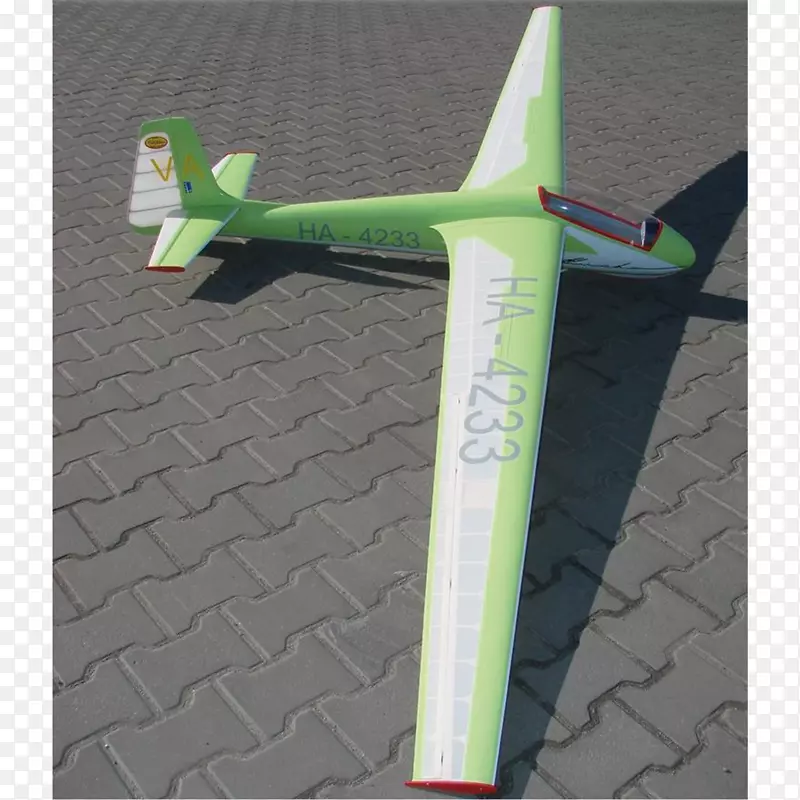 无线电控制飞机模型飞机航空公司飞机