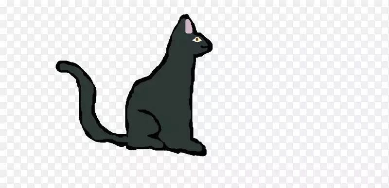 黑猫小猫胡须家养短毛猫