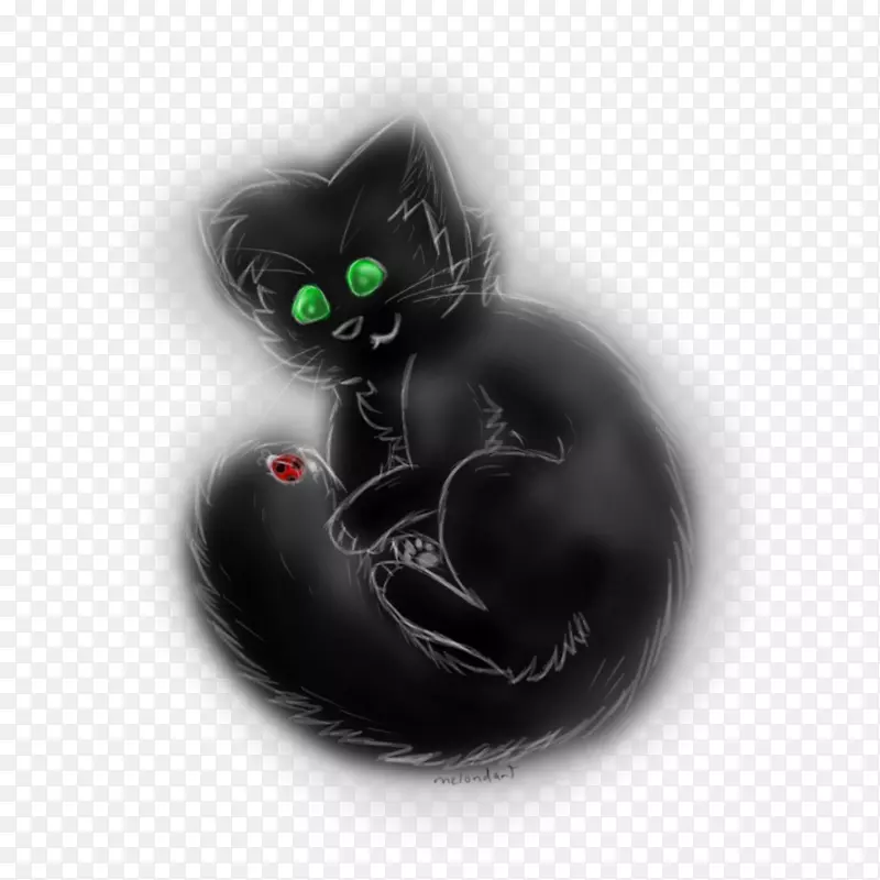 黑猫丑恶艺术胡须-瓢虫和黑色聊天