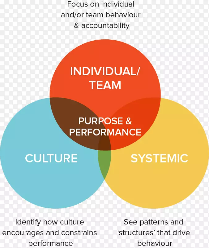 组织文化标志领导组织发展-透视图