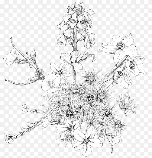 花卉设计松树素描设计