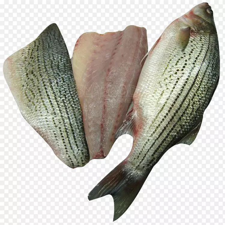 条纹鲈鱼产品罗非鱼-鱼鲈鱼
