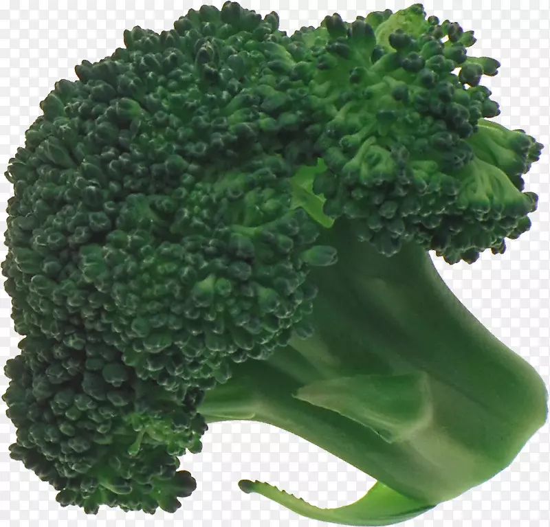 西兰花蔬菜图形软件-花椰菜