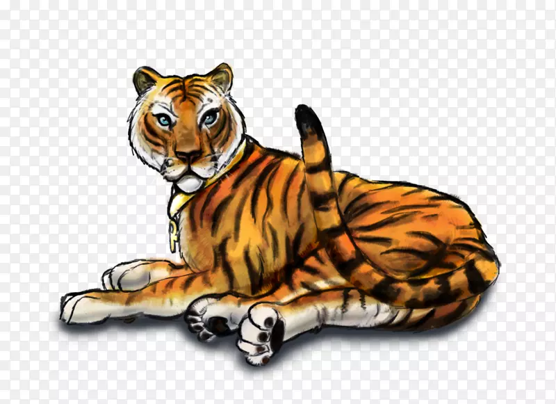 虎须狮猫斯波坎县区域动物保护服务-老虎