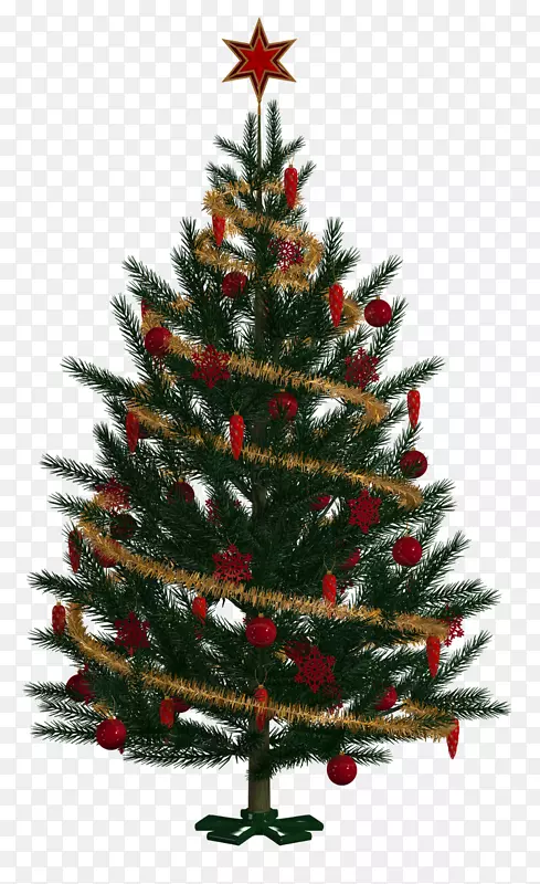 圣诞树，云杉，圣诞装饰，冷杉，松树，圣诞树