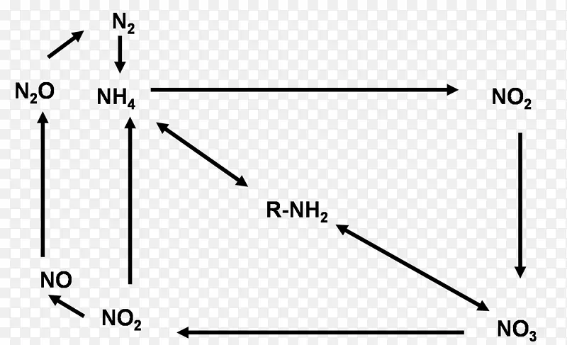 三角氮循环