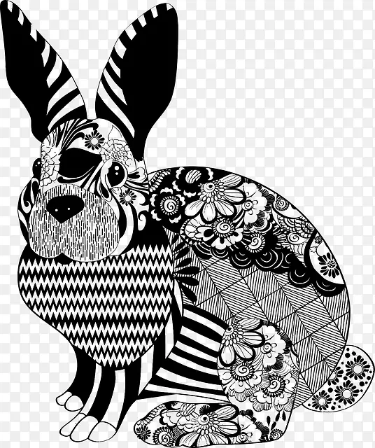 家养兔子复活节兔狮头兔荷兰矮小兔