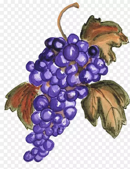 葡萄RGB颜色模型-葡萄