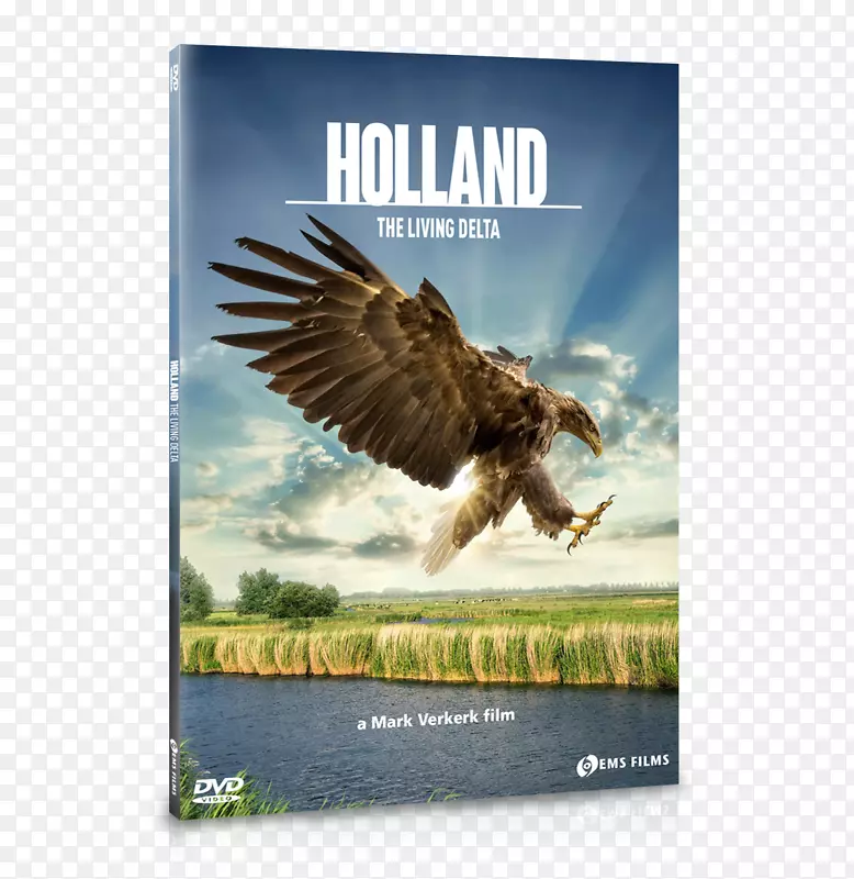 荷兰纪录片景观自然-荷兰