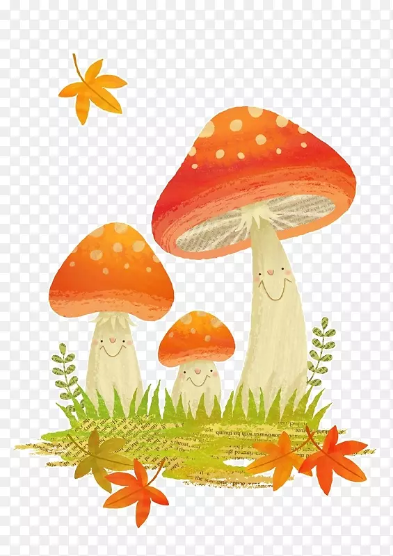 蘑菇水彩画透明水彩动物插图剪贴画.蘑菇