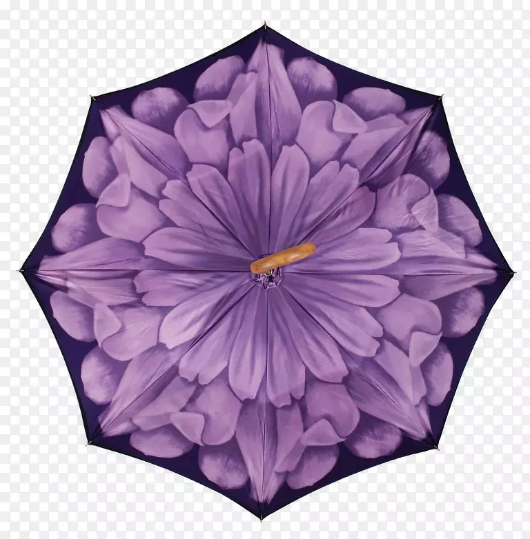 曼陀罗着色书花-紫色枫叶