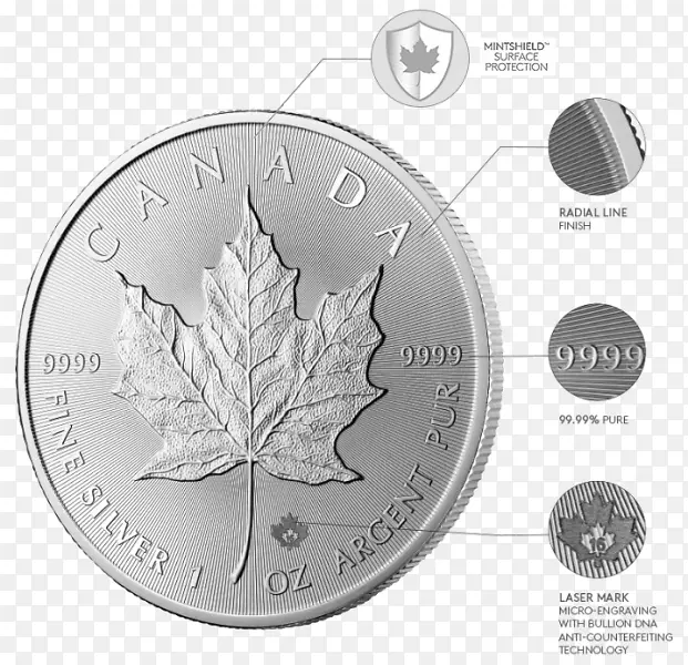 加拿大银枫叶硬币