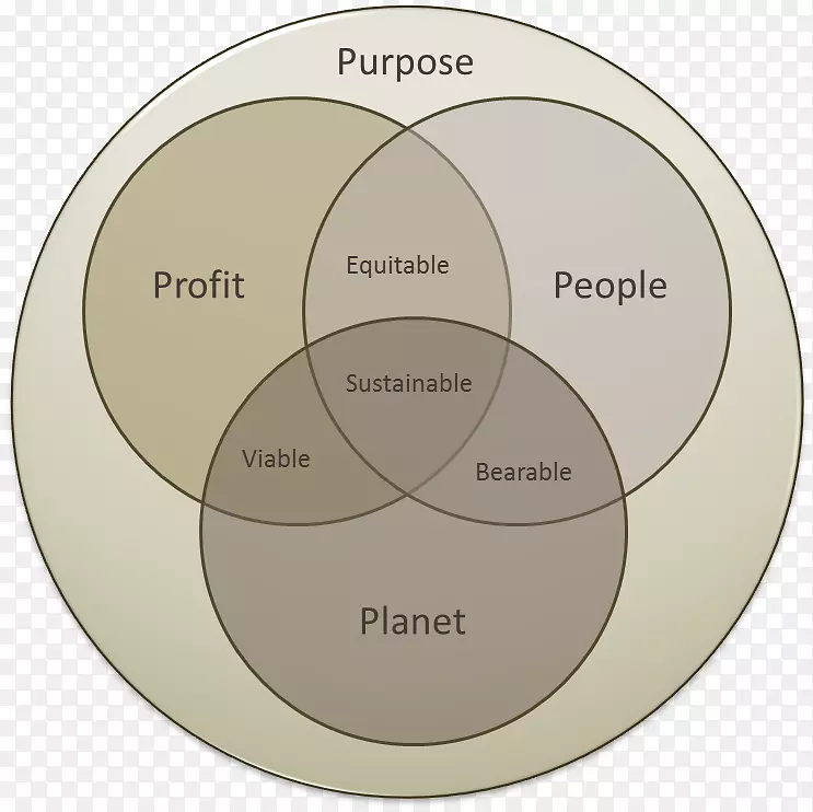 三重底线社会企业可持续性企业社会创业-企业