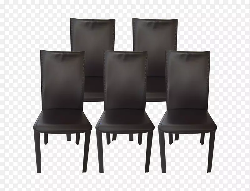 餐桌，餐室，椅子，家具，罗氏桌椅