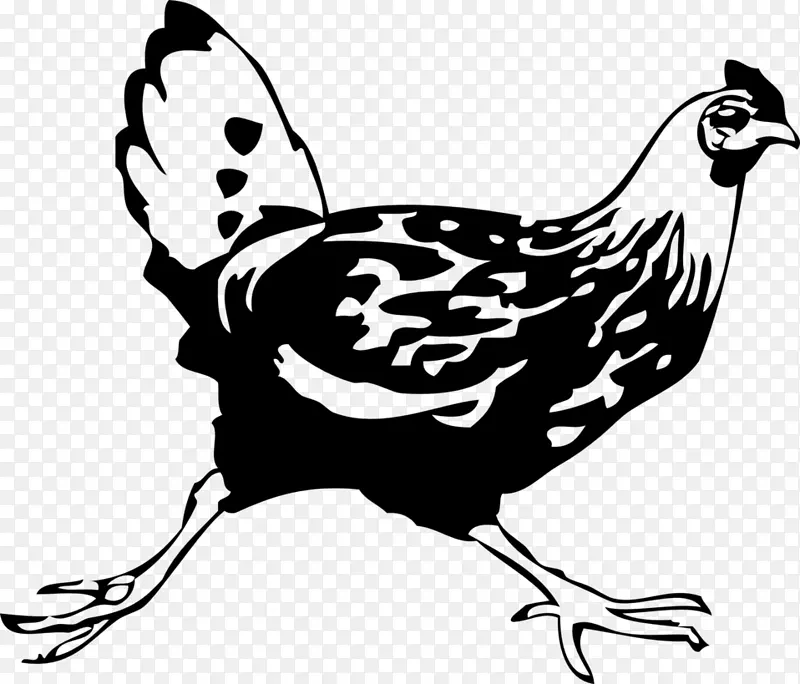 科钦鸡烧烤鸡白切鸡夹艺术-公共领域植物插图