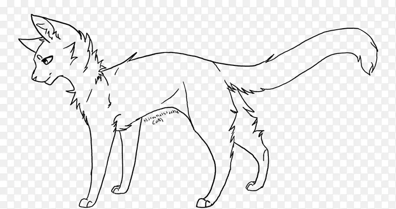 胡须线艺术猫画战士-猫