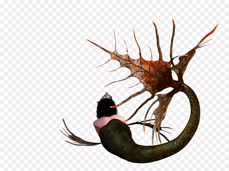 尾无脊椎动物传奇生物鱼-创造性水印