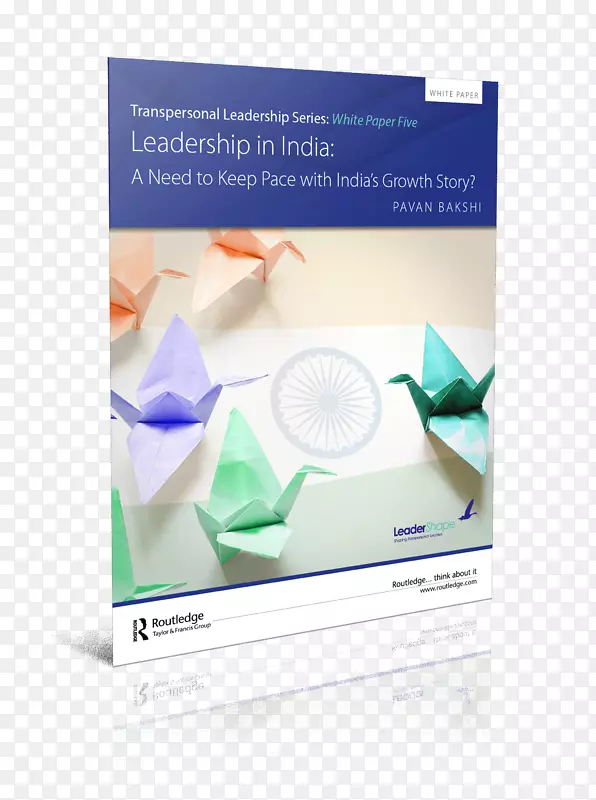 领导纸业印度-商业