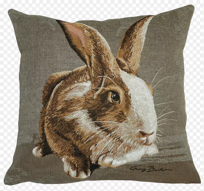软垫家用兔子抛枕头滑盖-枕头
