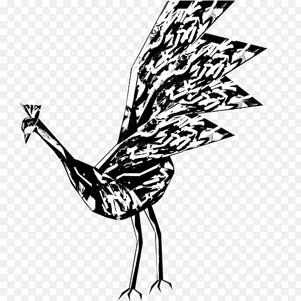 鸡视觉艺术鸡羽夹艺术-孔雀宝宝