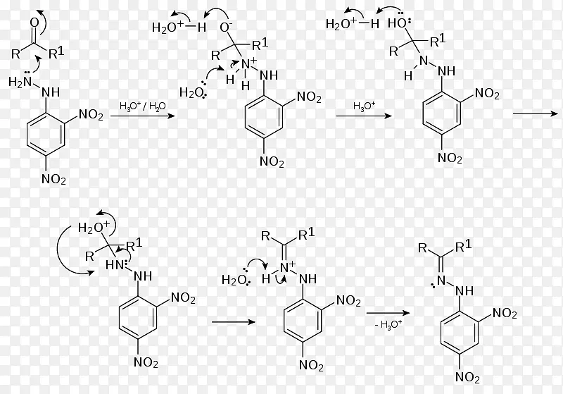 2，4-二硝基苯肼化学反应机理醛羰基-机理