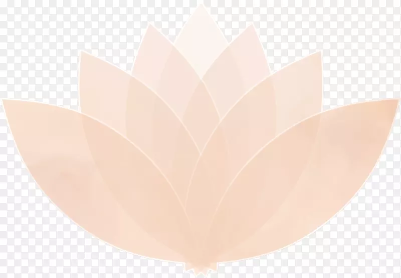 粉红色m-白色莲花