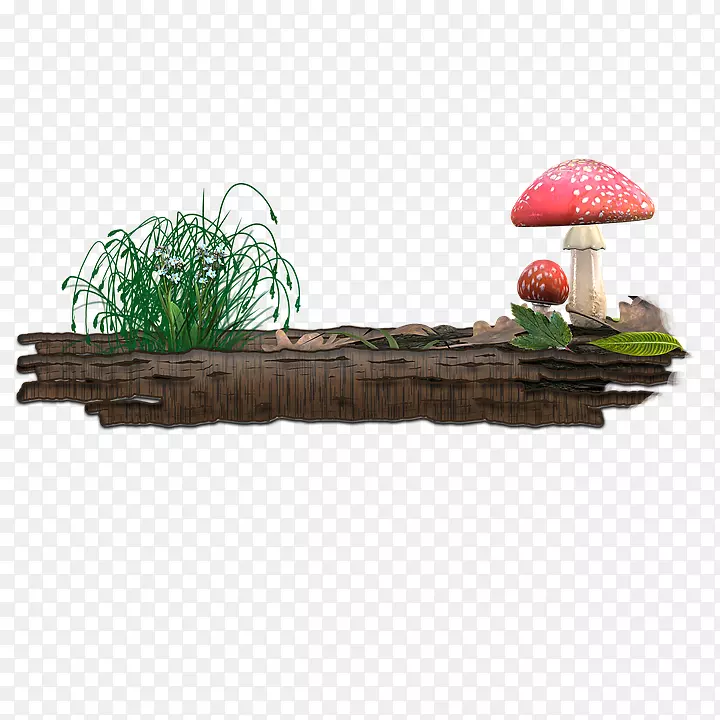 蘑菇封装的附言-蘑菇