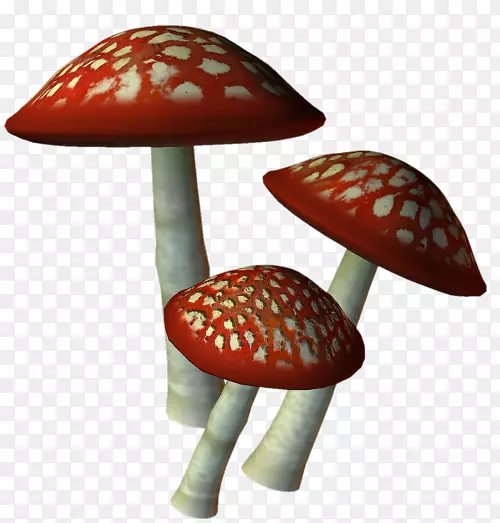蘑菇图片文件格式剪辑艺术蘑菇封装的PostScript图像文件格式