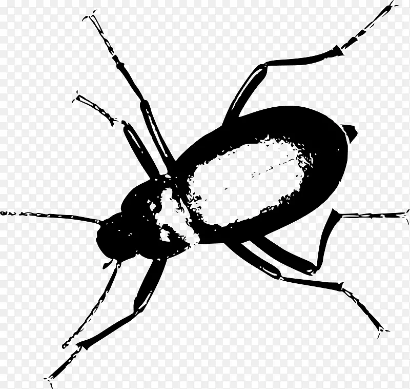 黑甲虫肉食虫剪贴画-徒手素描