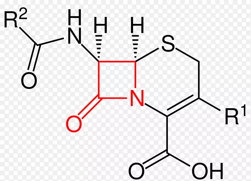 异构体头孢菌素抗生素药物青霉素-分子式1车