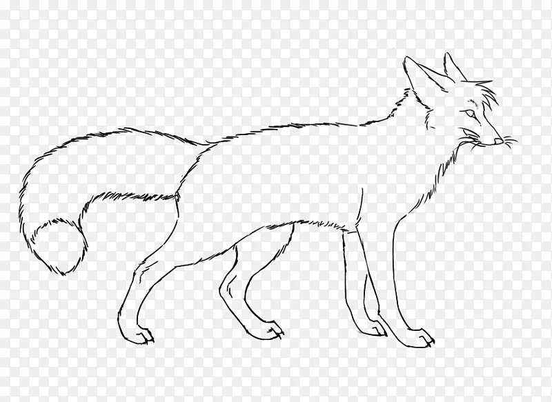 犬种红狐线艺术野生犬