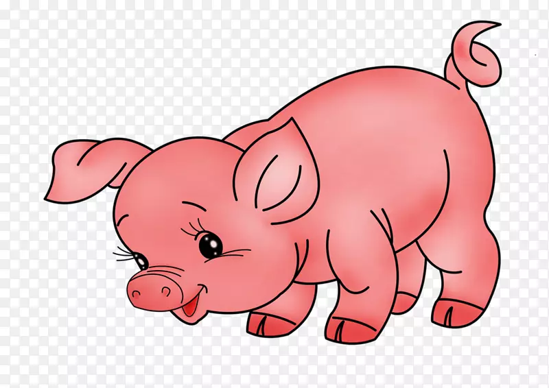 家猪剪贴画-猪