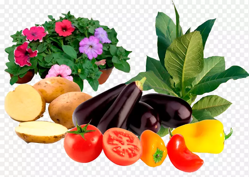 蔬菜素食美食配菜装饰蔬菜