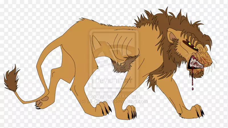 狮子吼马猫野生动物-狮子