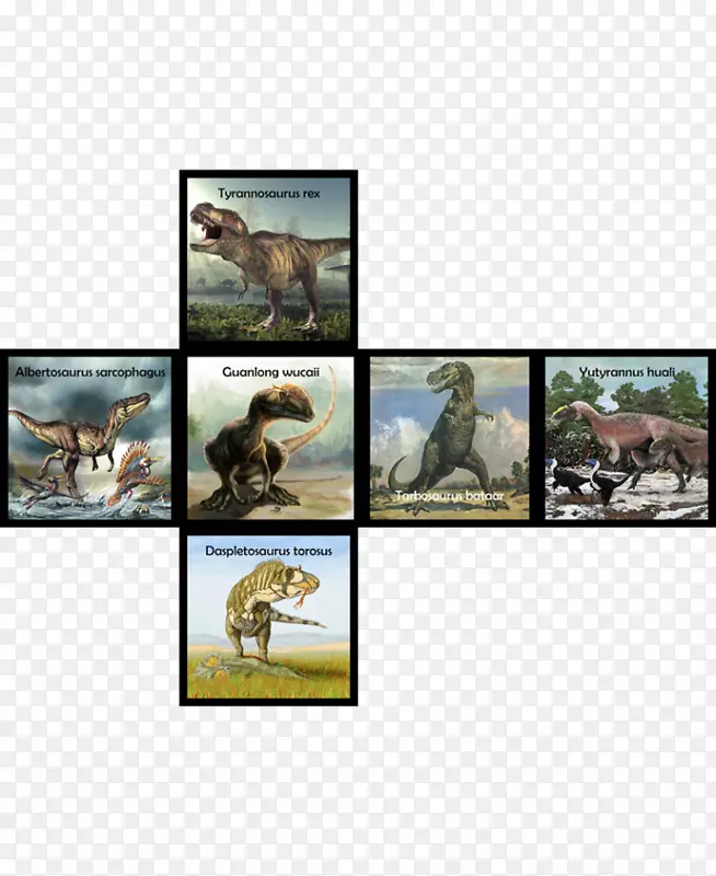 恐龙生态系统动物群-野生恐龙
