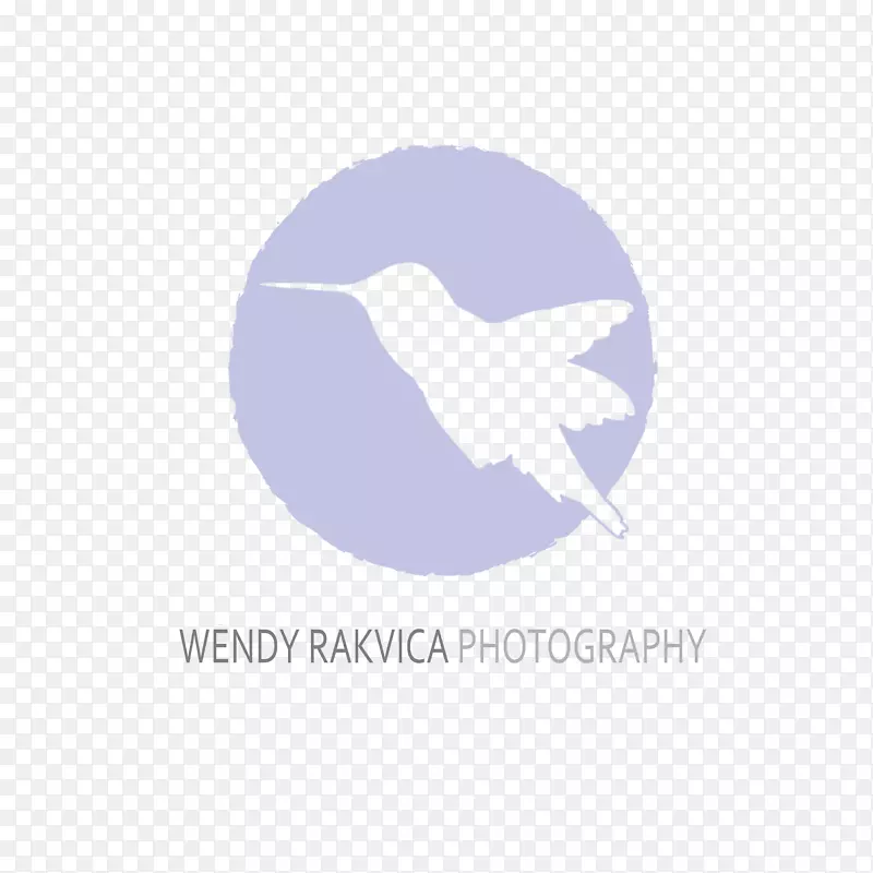 温迪·拉克维察摄影奥尔巴尼商标桌面壁纸婴儿-温迪公司